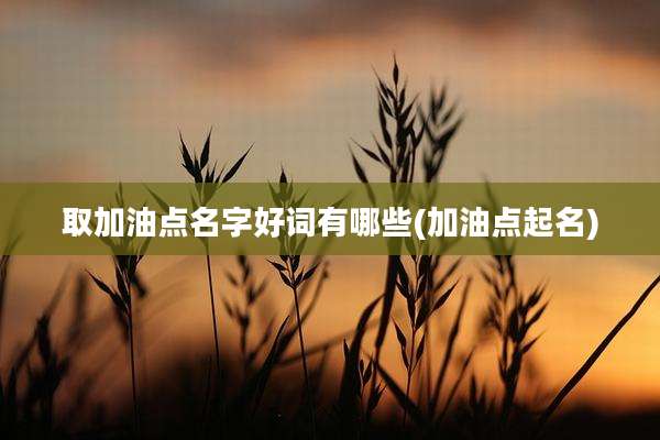 取加油点名字好词有哪些(加油点起名)