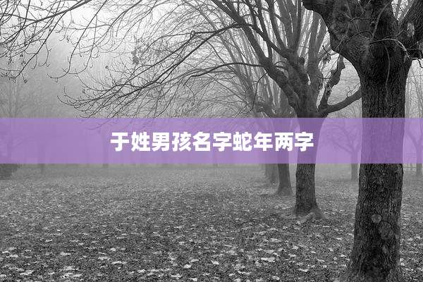 于姓男孩名字蛇年两字