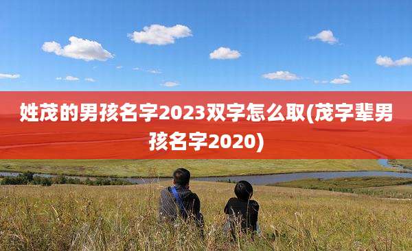 姓茂的男孩名字2023双字怎么取(茂字辈男孩名字2020)