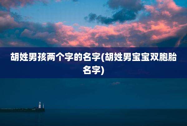 胡姓男孩两个字的名字(胡姓男宝宝双胞胎名字)
