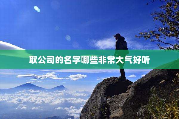 取公司的名字哪些非常大气好听