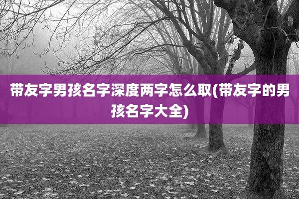 带友字男孩名字深度两字怎么取(带友字的男孩名字大全)