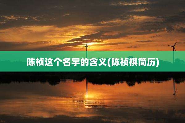 陈桢这个名字的含义(陈祯祺简历)
