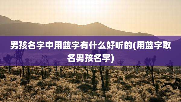男孩名字中用蓝字有什么好听的(用蓝字取名男孩名字)