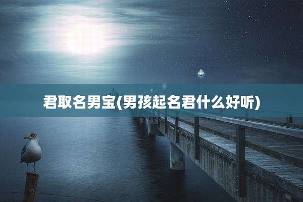 君取名男宝(男孩起名君什么好听)