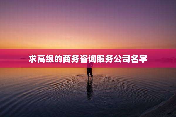 求高级的商务咨询服务公司名字