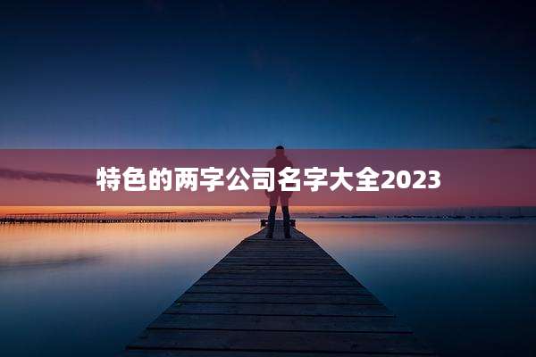 特色的两字公司名字大全2023