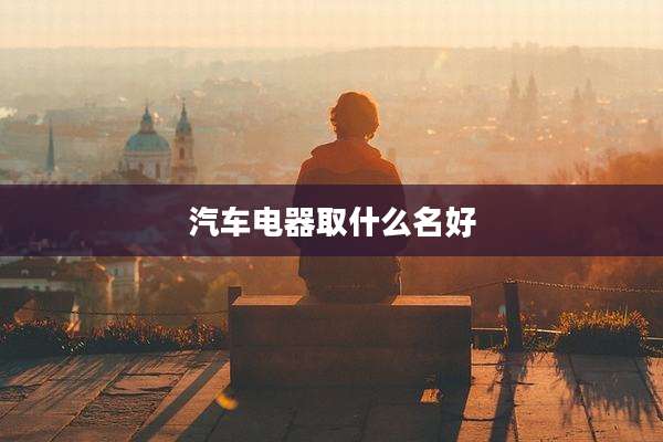 汽车电器取什么名好
