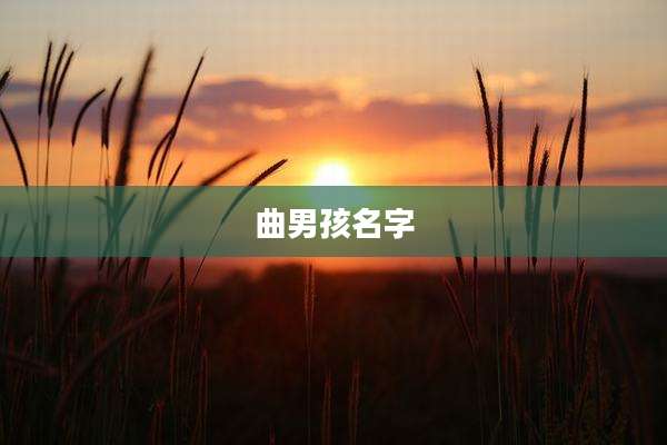 曲男孩名字