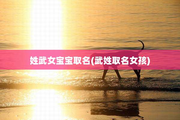 姓武女宝宝取名(武姓取名女孩)