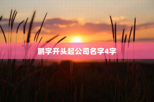鹏字开头起公司名字4字