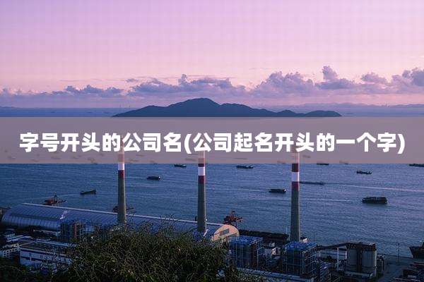 字号开头的公司名(公司起名开头的一个字)