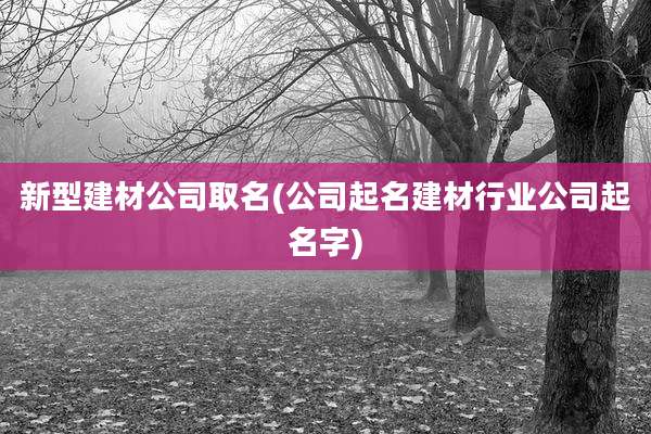 新型建材公司取名(公司起名建材行业公司起名字)
