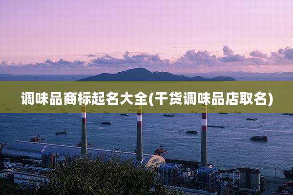 调味品商标起名大全(干货调味品店取名)