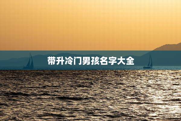 带升冷门男孩名字大全