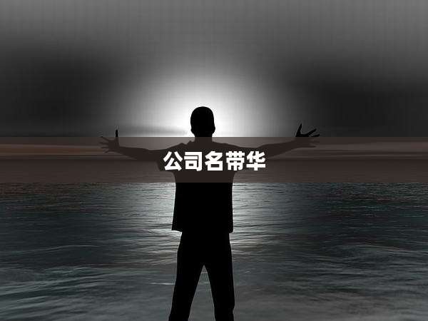公司名带华