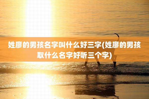 姓廖的男孩名字叫什么好三字(姓廖的男孩取什么名字好听三个字)
