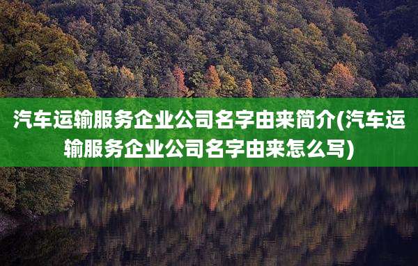 汽车运输服务企业公司名字由来简介(汽车运输服务企业公司名字由来怎么写)