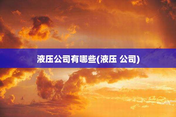 液压公司有哪些(液压 公司)