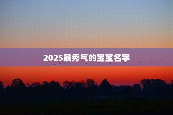2025最秀气的宝宝名字
