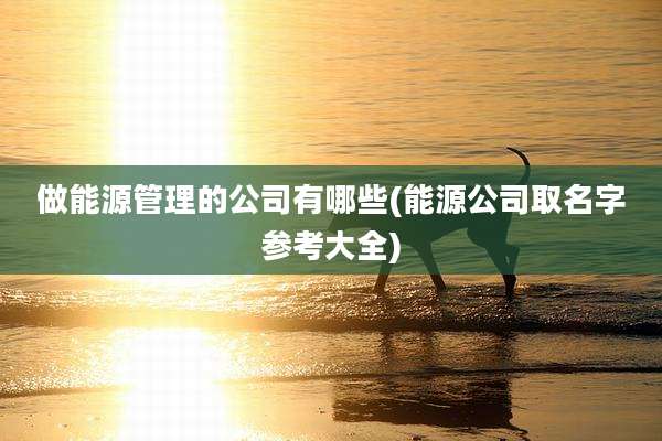 做能源管理的公司有哪些(能源公司取名字参考大全)