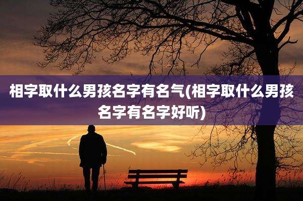 相字取什么男孩名字有名气(相字取什么男孩名字有名字好听)