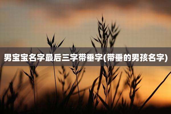 男宝宝名字最后三字带垂字(带垂的男孩名字)