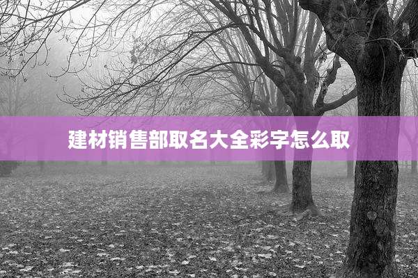 建材销售部取名大全彩字怎么取