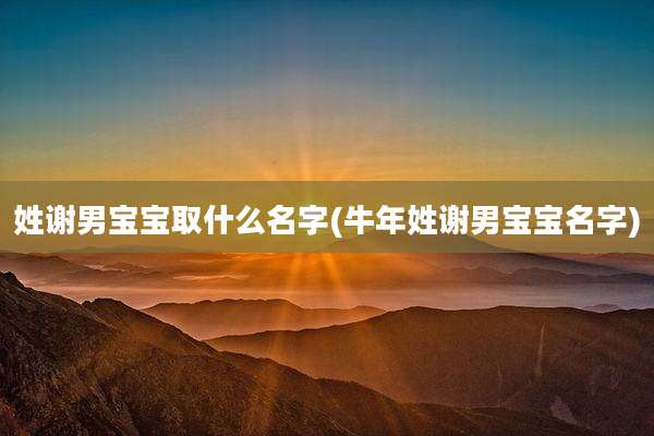 姓谢男宝宝取什么名字(牛年姓谢男宝宝名字)