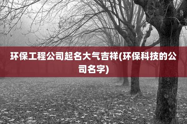 环保工程公司起名大气吉祥(环保科技的公司名字)
