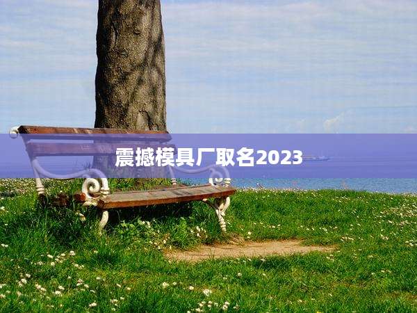 震撼模具厂取名2023