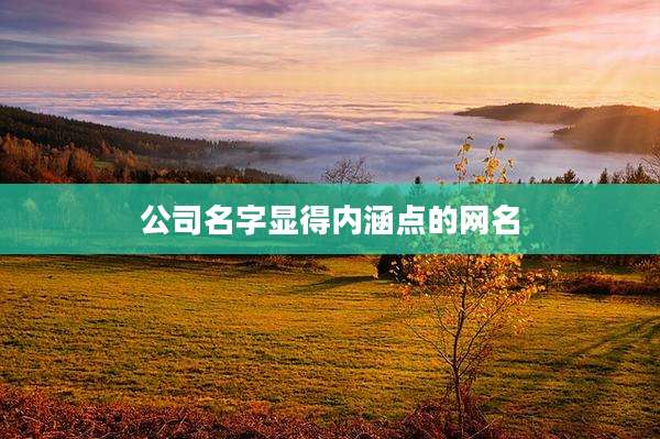 公司名字显得内涵点的网名