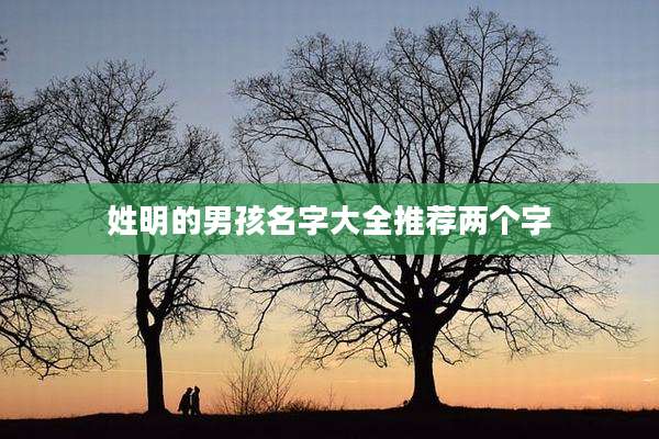姓明的男孩名字大全推荐两个字