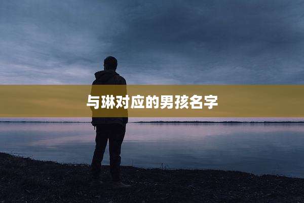 与琳对应的男孩名字