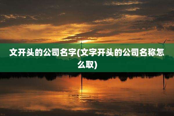 文开头的公司名字(文字开头的公司名称怎么取)