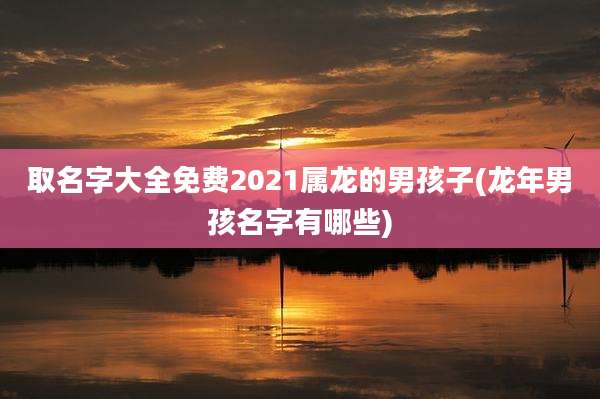 取名字大全免费2021属龙的男孩子(龙年男孩名字有哪些)