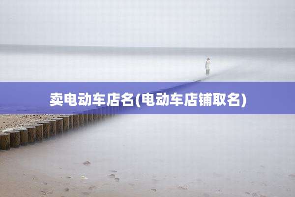 卖电动车店名(电动车店铺取名)