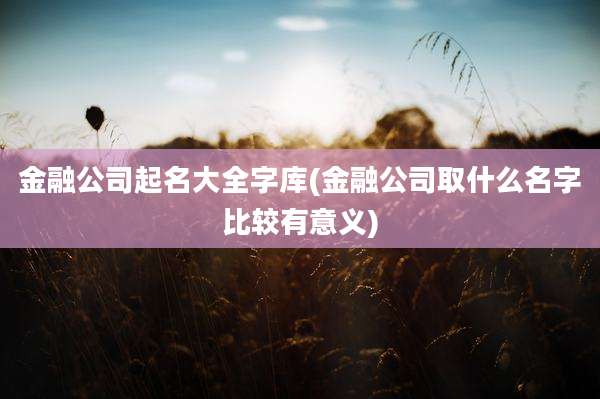 金融公司起名大全字库(金融公司取什么名字比较有意义)