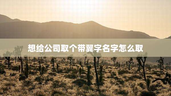 想给公司取个带翼字名字怎么取