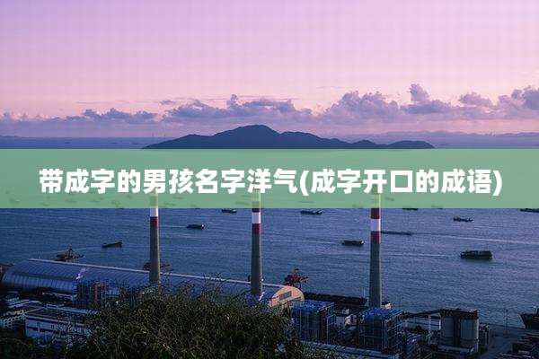 带成字的男孩名字洋气(成字开口的成语)