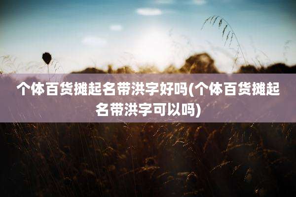 个体百货摊起名带洪字好吗(个体百货摊起名带洪字可以吗)