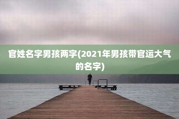 官姓名字男孩两字(2021年男孩带官运大气的名字)