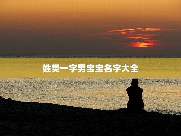 姓樊一字男宝宝名字大全