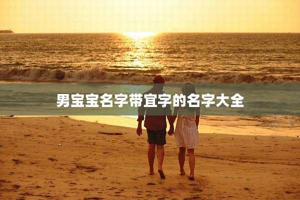 男宝宝名字带宜字的名字大全