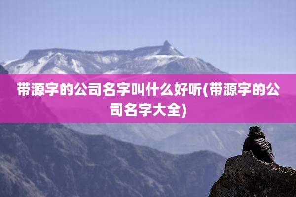 带源字的公司名字叫什么好听(带源字的公司名字大全)