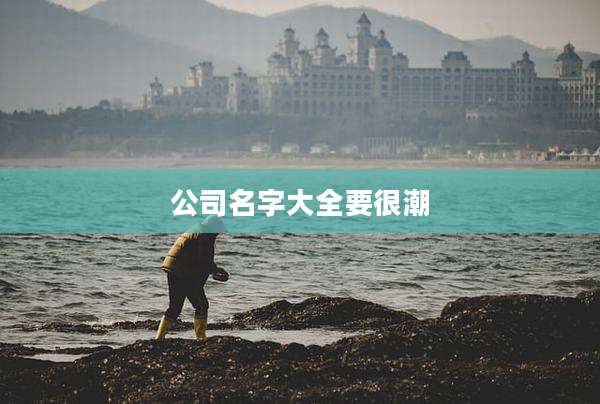 公司名字大全要很潮