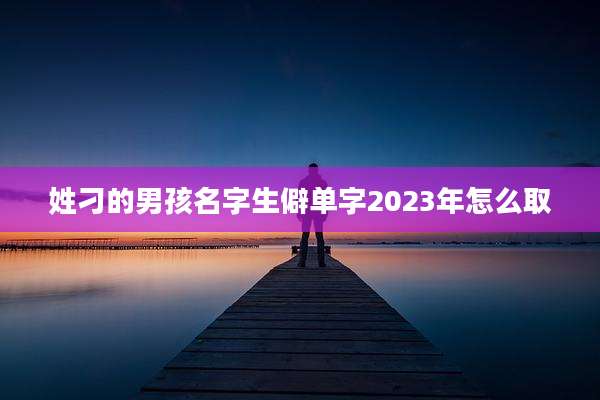 姓刁的男孩名字生僻单字2023年怎么取