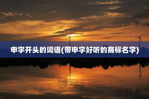 申字开头的词语(带申字好听的商标名字)