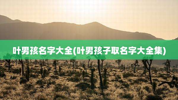 叶男孩名字大全(叶男孩子取名字大全集)
