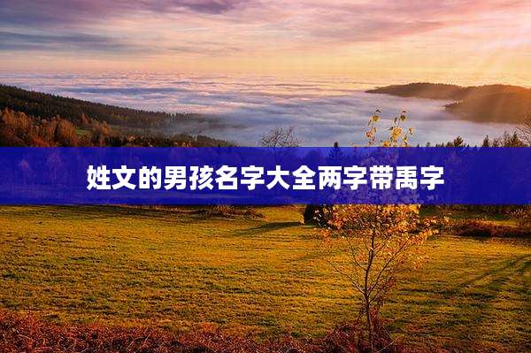 姓文的男孩名字大全两字带禹字